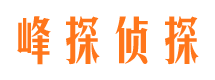 文圣市侦探调查公司